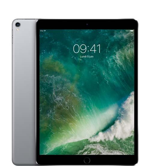 iPad Apple iPad Pro 10.5" WiFi 256 Go Gris Sideral
