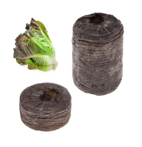 Tregren Kit de graines Laitue pour Potager dint/érieur autonome R/écoltez vos salades /à la maison en quelques semaines et sans effort ! Kit de 2 capsules pr/êt /à pousser avec graines de Laitue