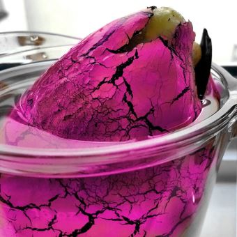 Grand œuf Stégosaurus à faire éclore Nurchums