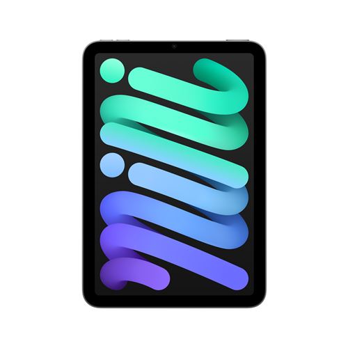 Apple iPad Mini 8,3'' 128 Go Gris Sidéral Wifi 7ème génération 2024