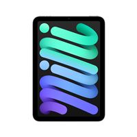 Apple iPad Mini 8,3'' 128 Go Gris Sidéral Wifi 7ème génération 2024