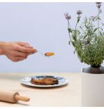 Capsule de lavande Prêt à Pousser