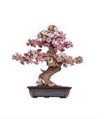 Puzzle 3D Rolife Sakura Bonsaï
