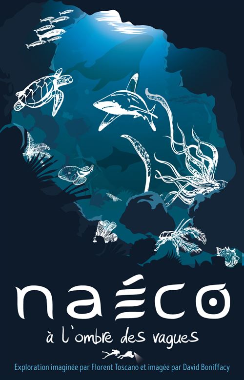 Jeu de stratégie Opla Naéco