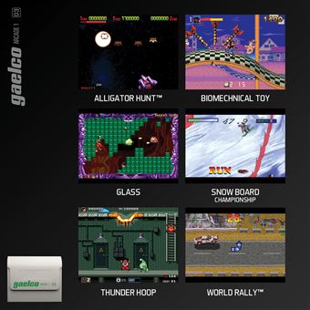 Evercade - Gaelco Arcade 1