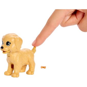 Coffret Barbie et ses chiens Doggy Daycare