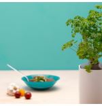 Capsule de persil frisé Prêt à Pousser