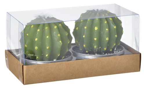 Set de 2 bougies La Chaise Longue Cactus Grand modèle Vertes