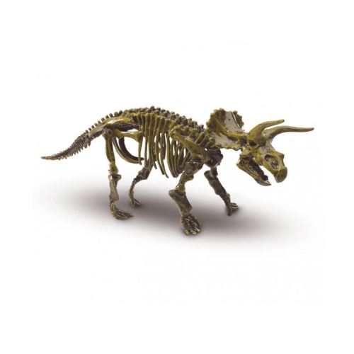 Recherche ton Tricératops - Explore SES Creative