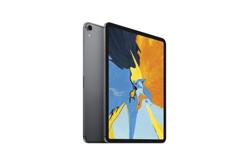 Apple iPad Pro 256 Go WiFi + 4G Gris sidéral 11"