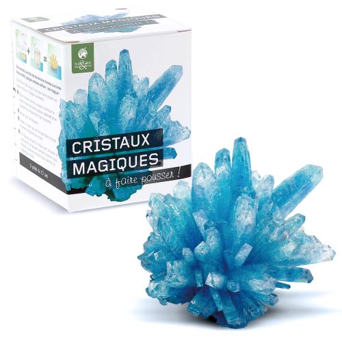 Cristaux Magiques à Faire Pousser
