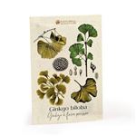 Sachet de graines Radis et Capucine Gingko Biloba