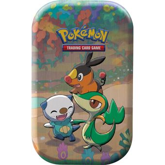 Carte à collectionner Asmodée Jeu de cartes Pokémon Mini Tin 25th