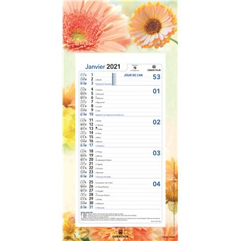 Calendrier mensuel Oberthur Nova 16 x 33 cm Modèle aléatoire