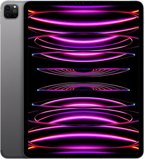 Apple iPad Pro 5 12,9" Puce Apple M1 256 Go Gris sidéral Wifi Reconditionné Grade A Lagoona