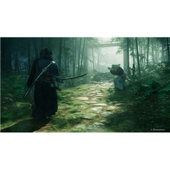 Rise of The Ronin PS5