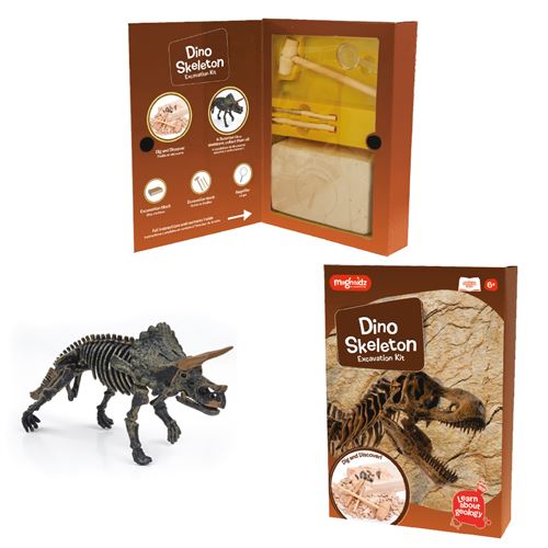 Squelette Dinosaure Magnoidz