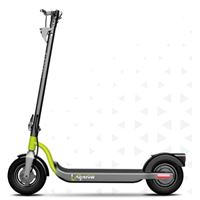 Trottinette électrique Argento Evo Active 350 W Gris