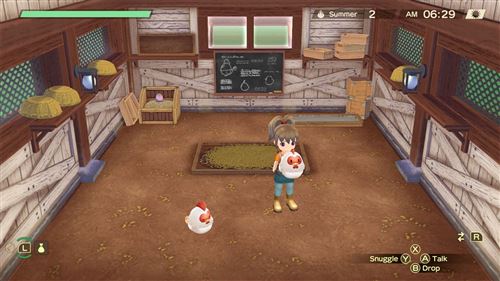 harvest moon a wonderful life switch