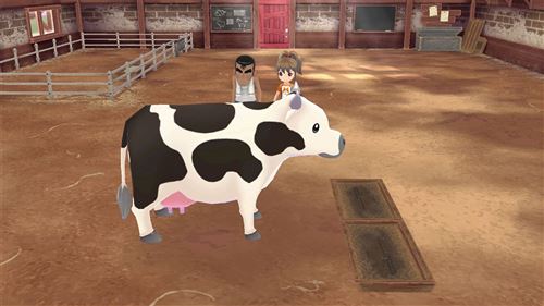 harvest moon a wonderful life switch