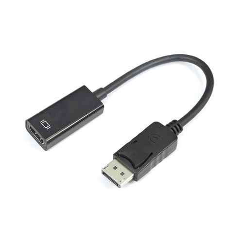 Adaptateur DisplayPort vers HDMI - Le Zébu