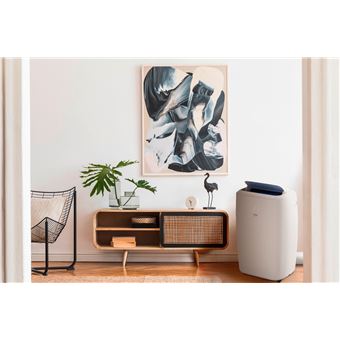 Climatiseur mobile Beko BP109AH