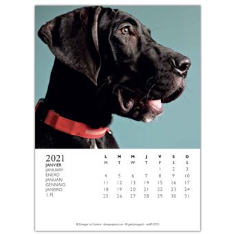 Calendrier sur socle Draeger Chiens 2021