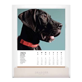 Calendrier sur socle Draeger Chiens 2021
