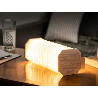 Lampe Accordeon Gingko Noye