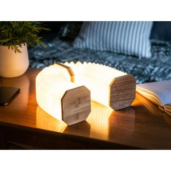 Lampe Accordeon Gingko Noye