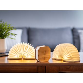 Lampe Accordeon Gingko Noye