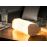 Lampe Accordeon Gingko Noye_1