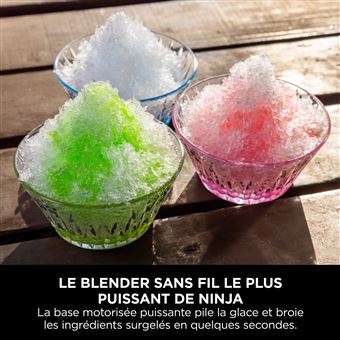 Blender sans fil Ninja Blast Max BC251EUGY Gris
