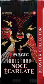 Booster collector Magic The Gathering