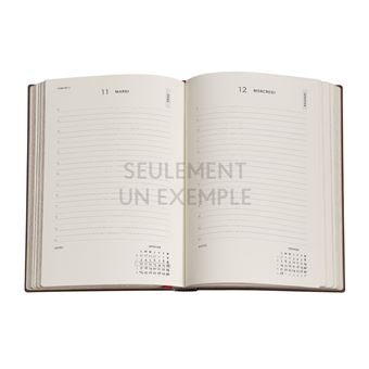 Agenda Flexis Paperblanks 2022 Globe de Hunt-Lenox Midi 12,5 × 17,5 cm