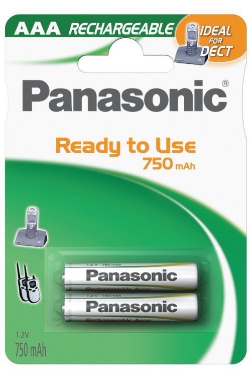 Pack De 2 Piles Rechargeables Panasonic Evolta Aaa Lr03
