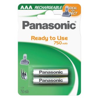 Pack de 2 piles rechargeables Panasonic Evolta AAA LR03 - Piles - Achat &  prix