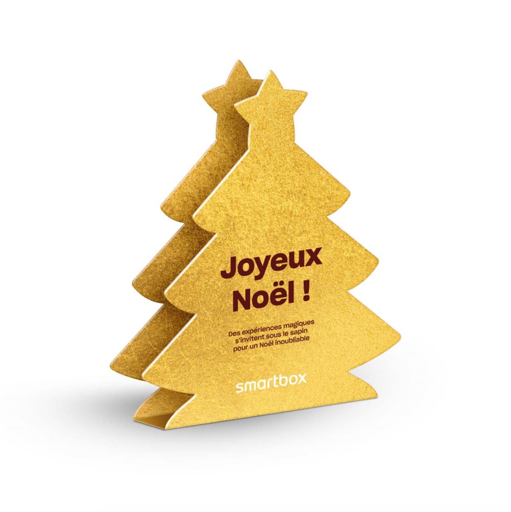 Coffret Smartbox Joyeux Noël - Valeur 49,90€ - Neuf