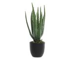 Aloe Vera dans pot Kaemingk Plastique