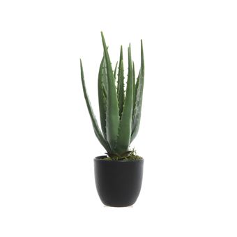 Aloe Vera dans pot Kaemingk Plastique