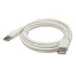 Rallonge Temium USB 2.0 3 m