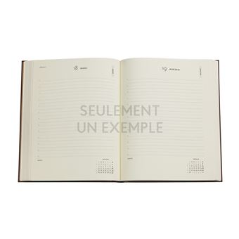 Agenda Flexis Paperblanks 2022 Jules Verne Vingt Mille Lieues Ultra 18 × 23 cm
