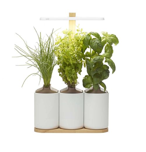 Potager d'intérieur Lilo Connect