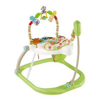 Trotteur fisher store price jumperoo