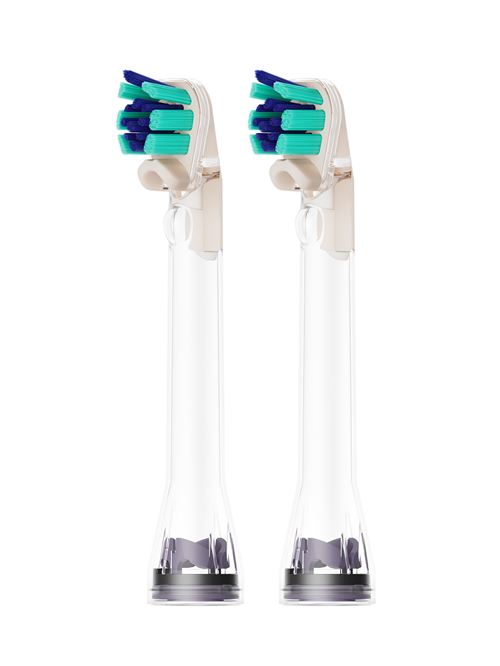 Têtes De Brosse Dyson à Poils Doubles (X2) Standard