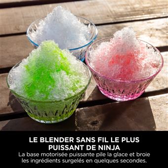 Blender sans fil Ninja Blast Max BC251EULD Lavande