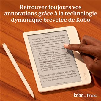 Stylet-Kobo-Stylus-2-Blanc.jpg