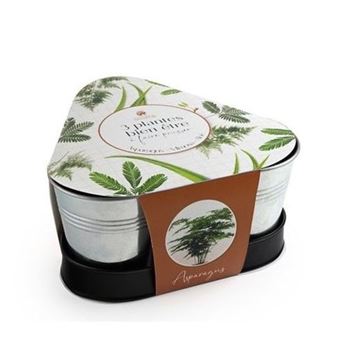 Kit 3 Plantes bien-être à faire pousser Radis et Capucine - 1