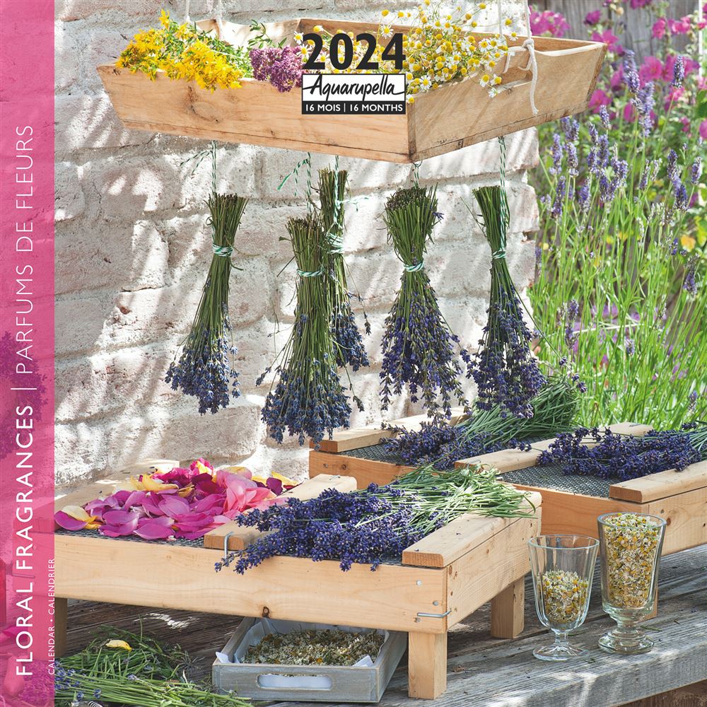 Calendrier mensuel 2024 Aquarupella Drôle d'animaux - 30 x 30 cm :  Calendriers AQUARUPELLA maison - botanic®
