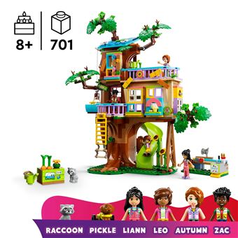 La cabane de l''amitie